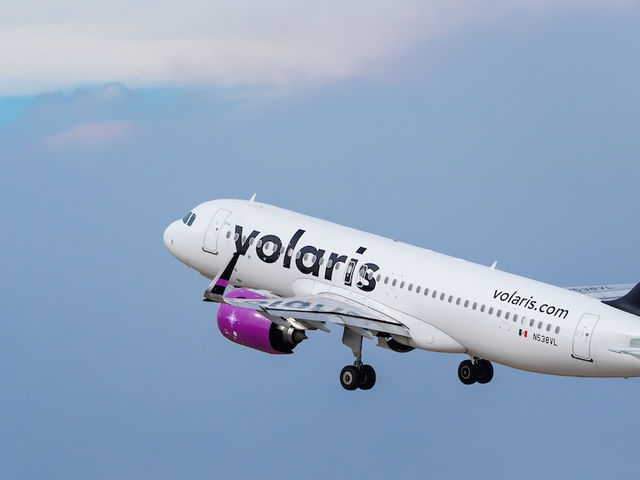 Volaris pet travel cheap